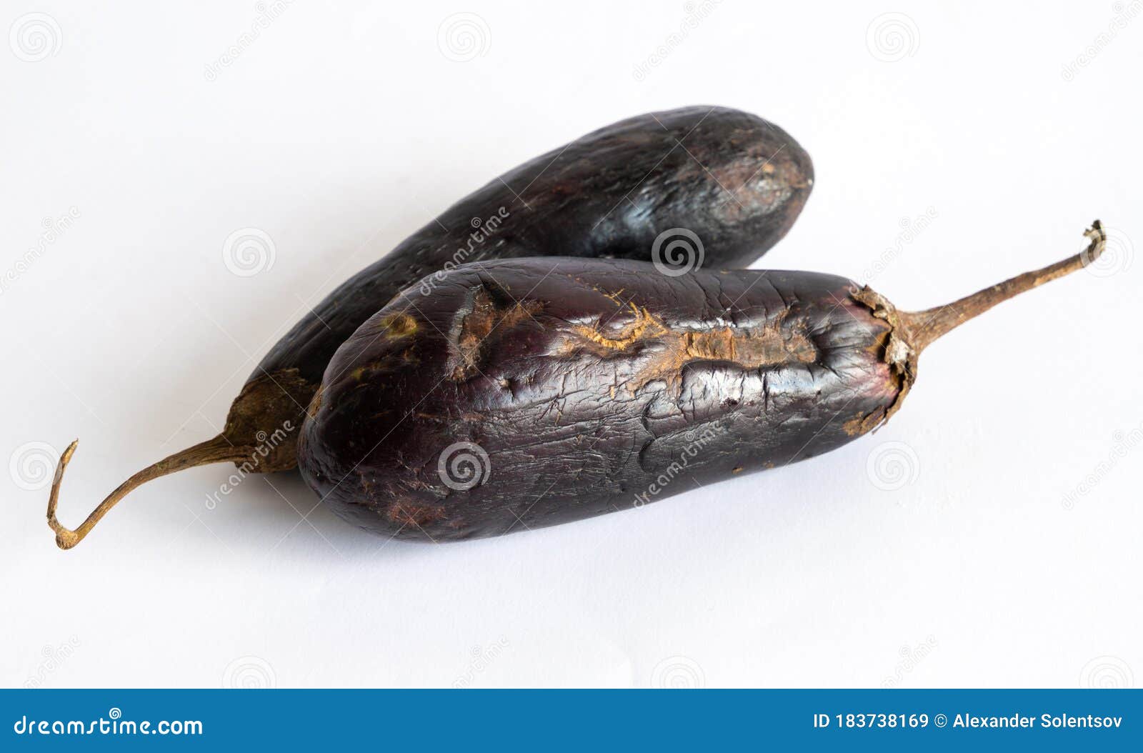 Bad spoiled eggplant stock image. Image of rotten, black 183738169