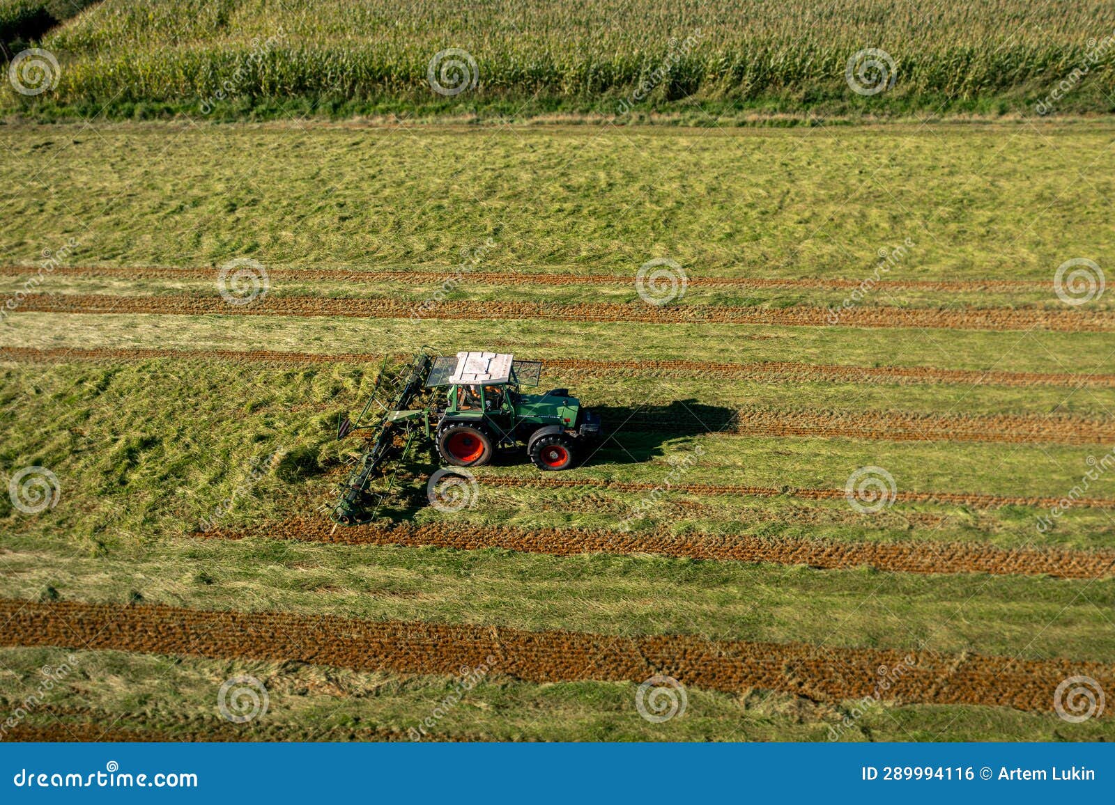 Harvesting And Drying Hay The Grass Tedder Turns Freshly Cut Grass