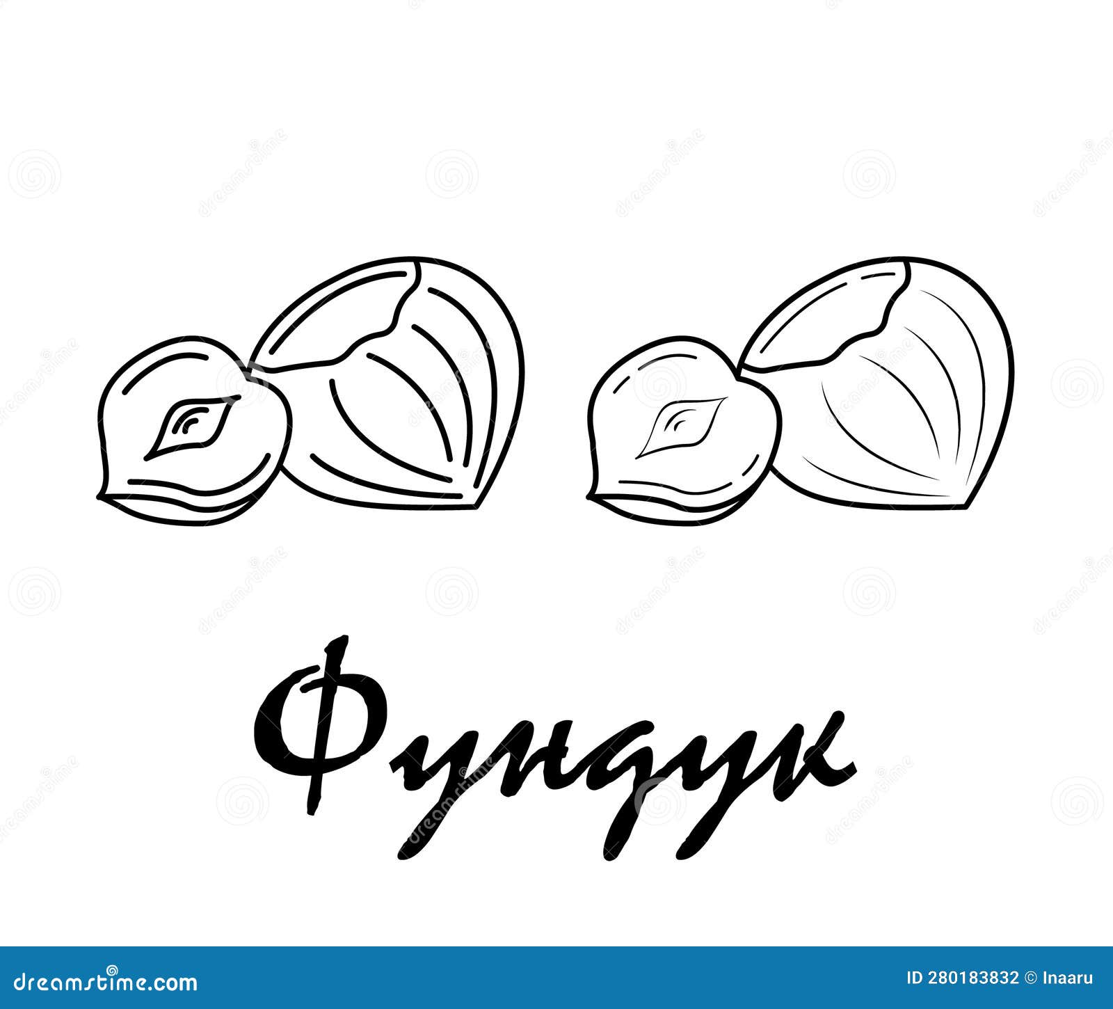 Badge Hazelnut with the Inscription "hazelnut" in Russian. Stock Vector