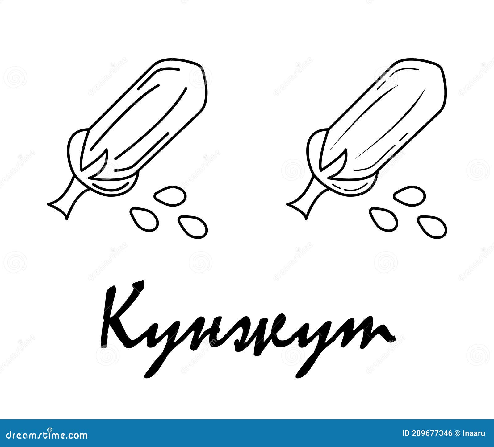 Badge Sesame with the Inscription "sesame" in Russian. Stock Vector