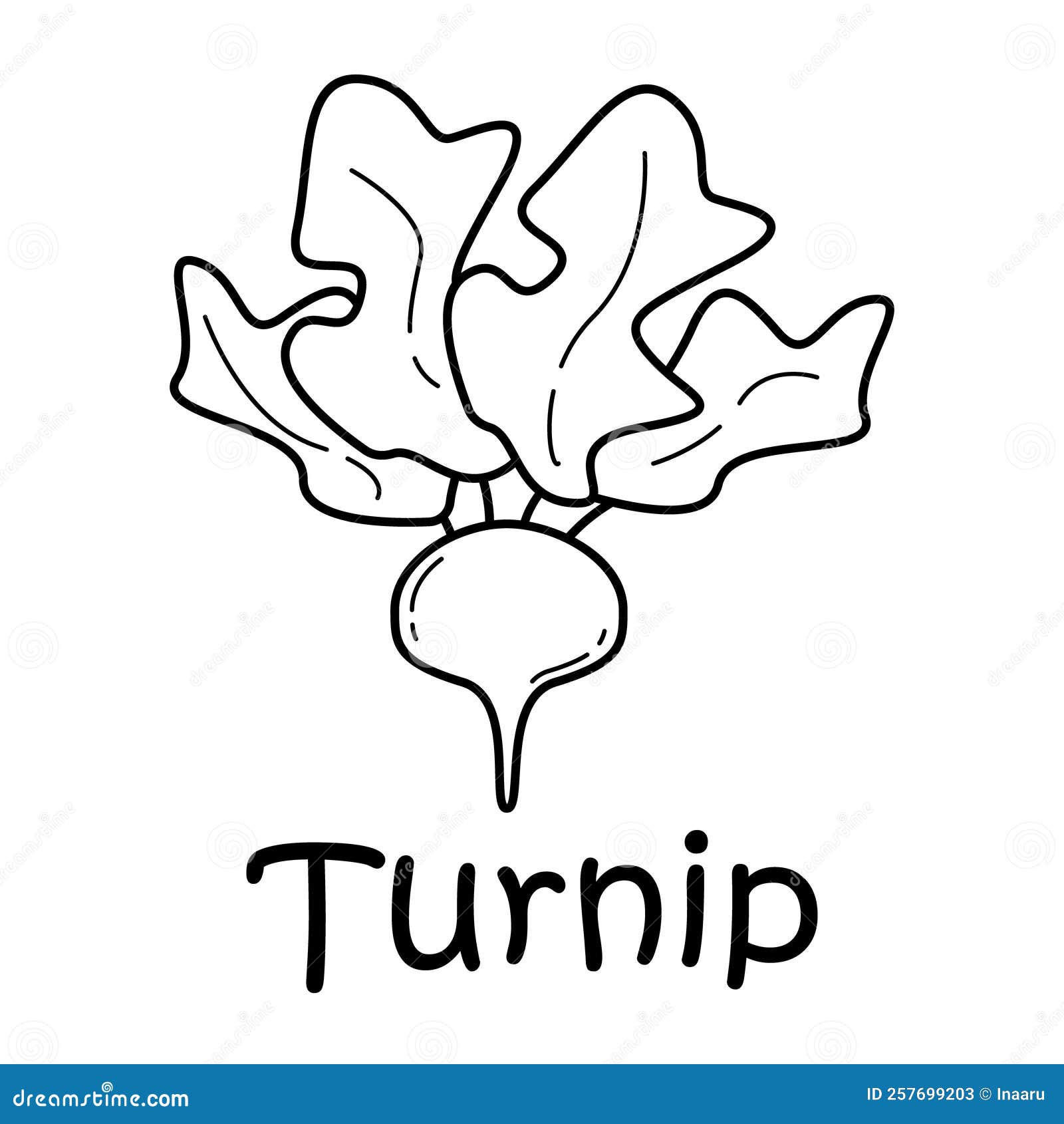 Badge Turnip with the Inscription. Stock Vector Illustration of