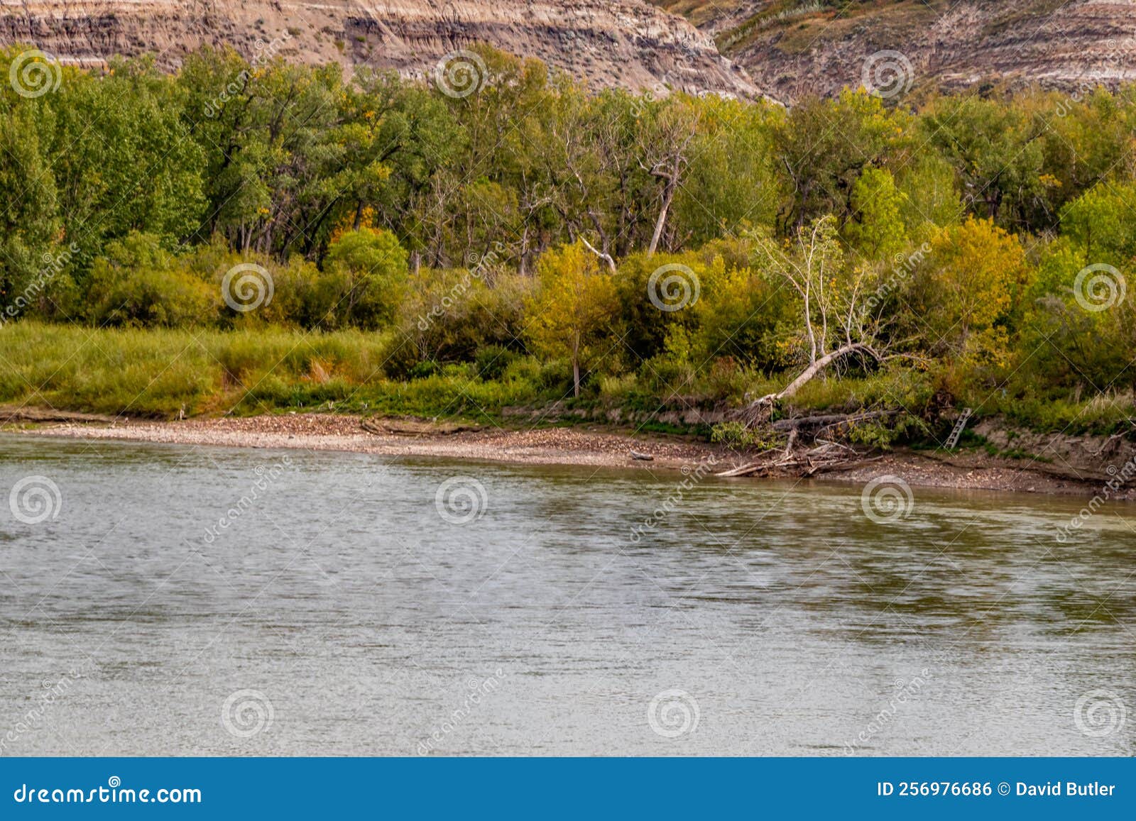 Badlands Along the Red Deer River. Rosedale, Alberta, Canada Stock