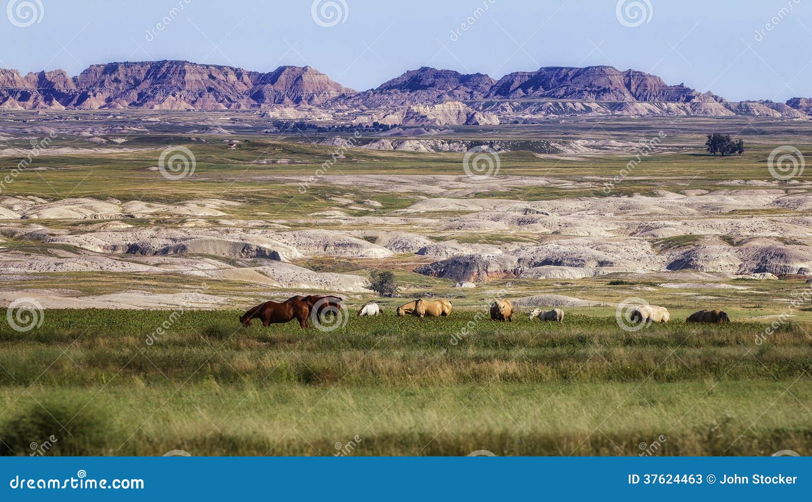 badlands pasture