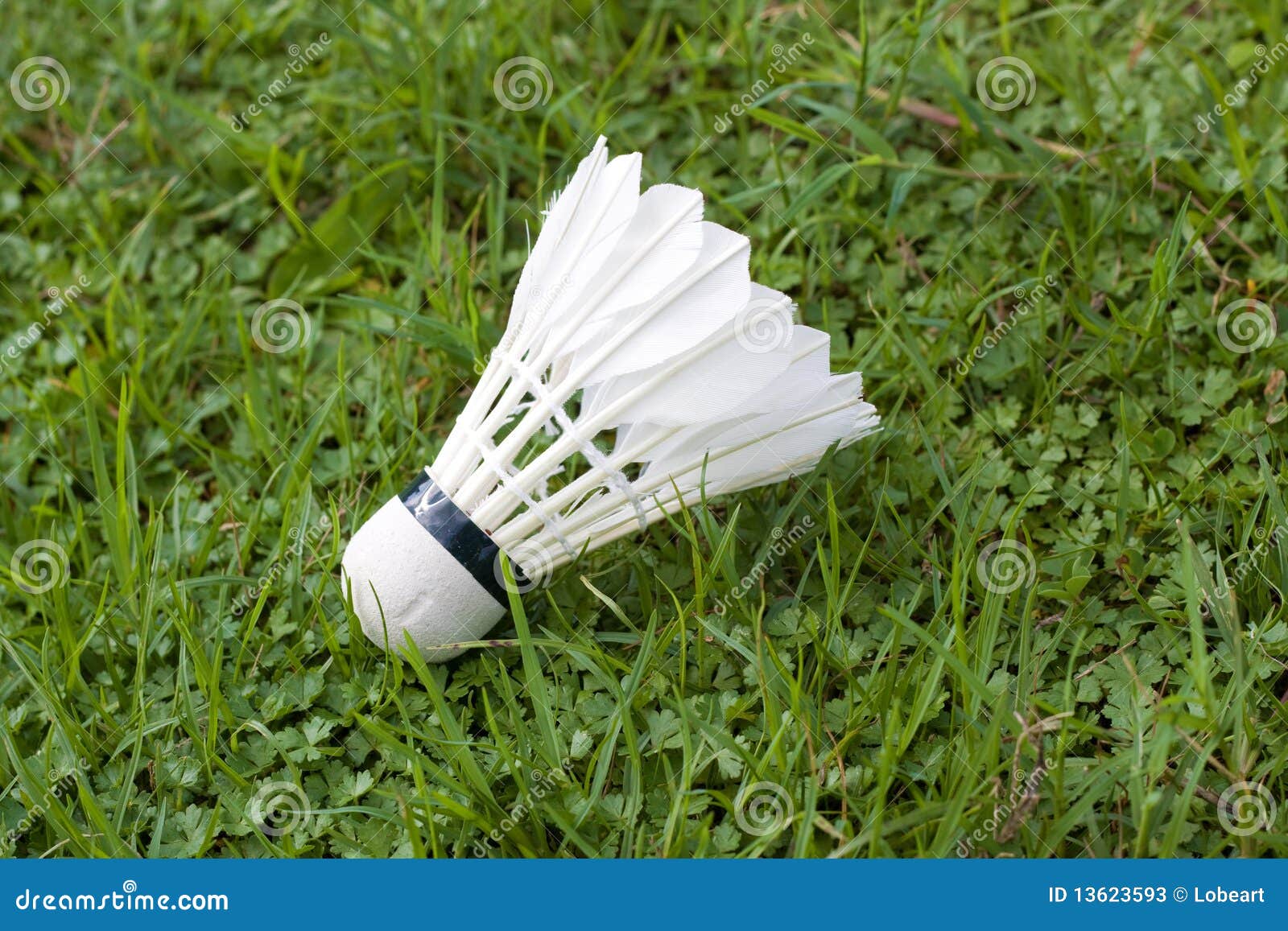 Badminton stock image. Image of badminton, plants, white 13623593