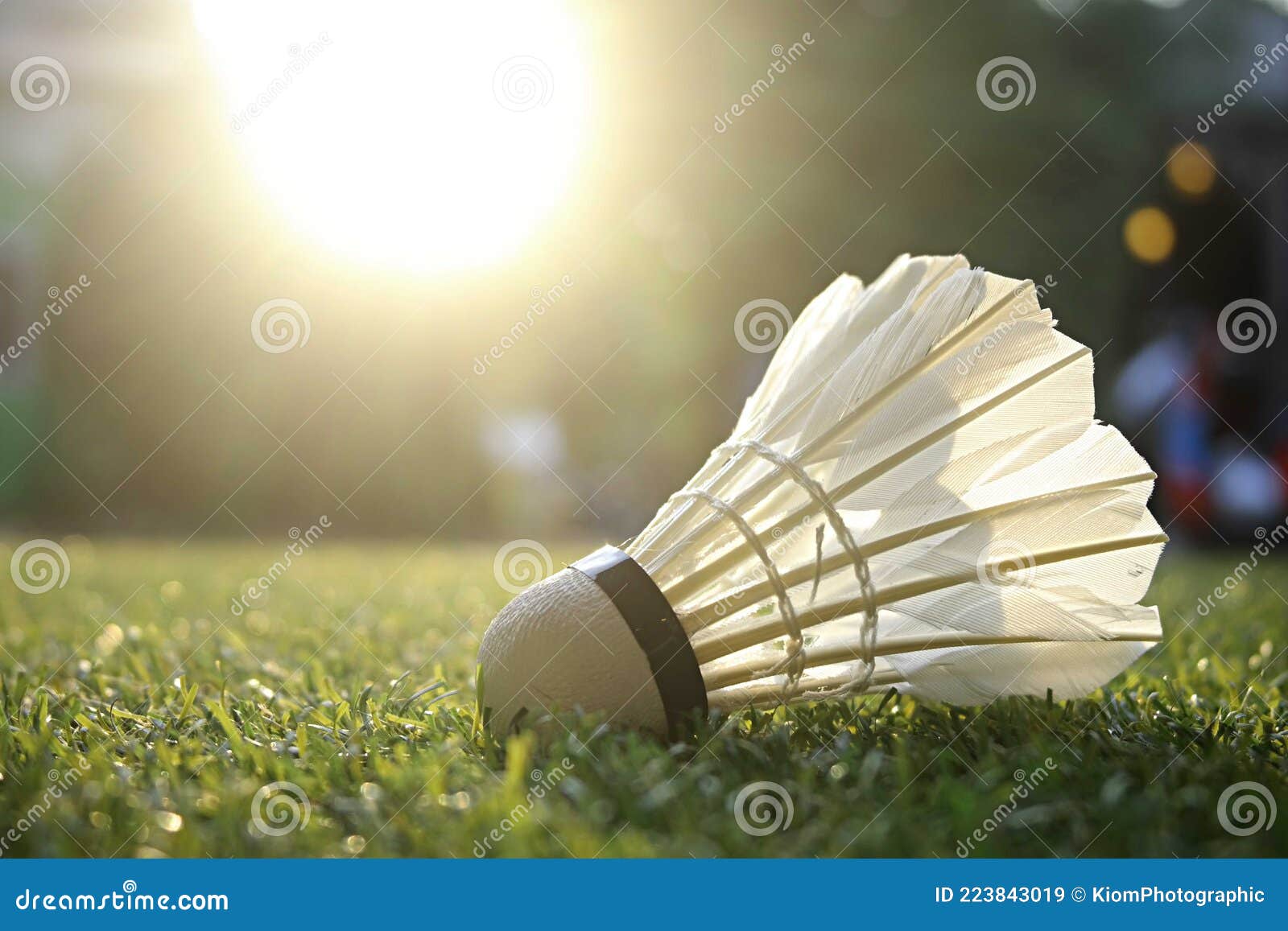 Badminton Birdie on grass stock image. Image of background 223843019