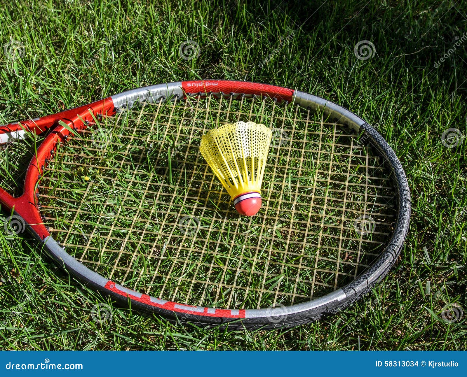 badminton birdie in the green grass