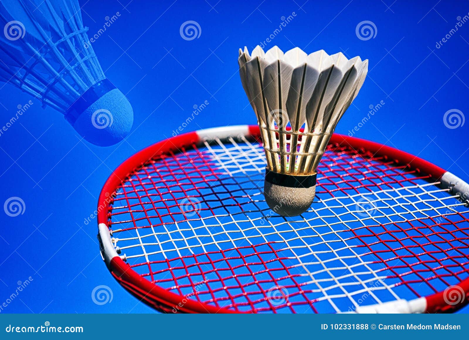 Top 999+ Badminton Wallpaper Full HD, 4K✓Free to Use