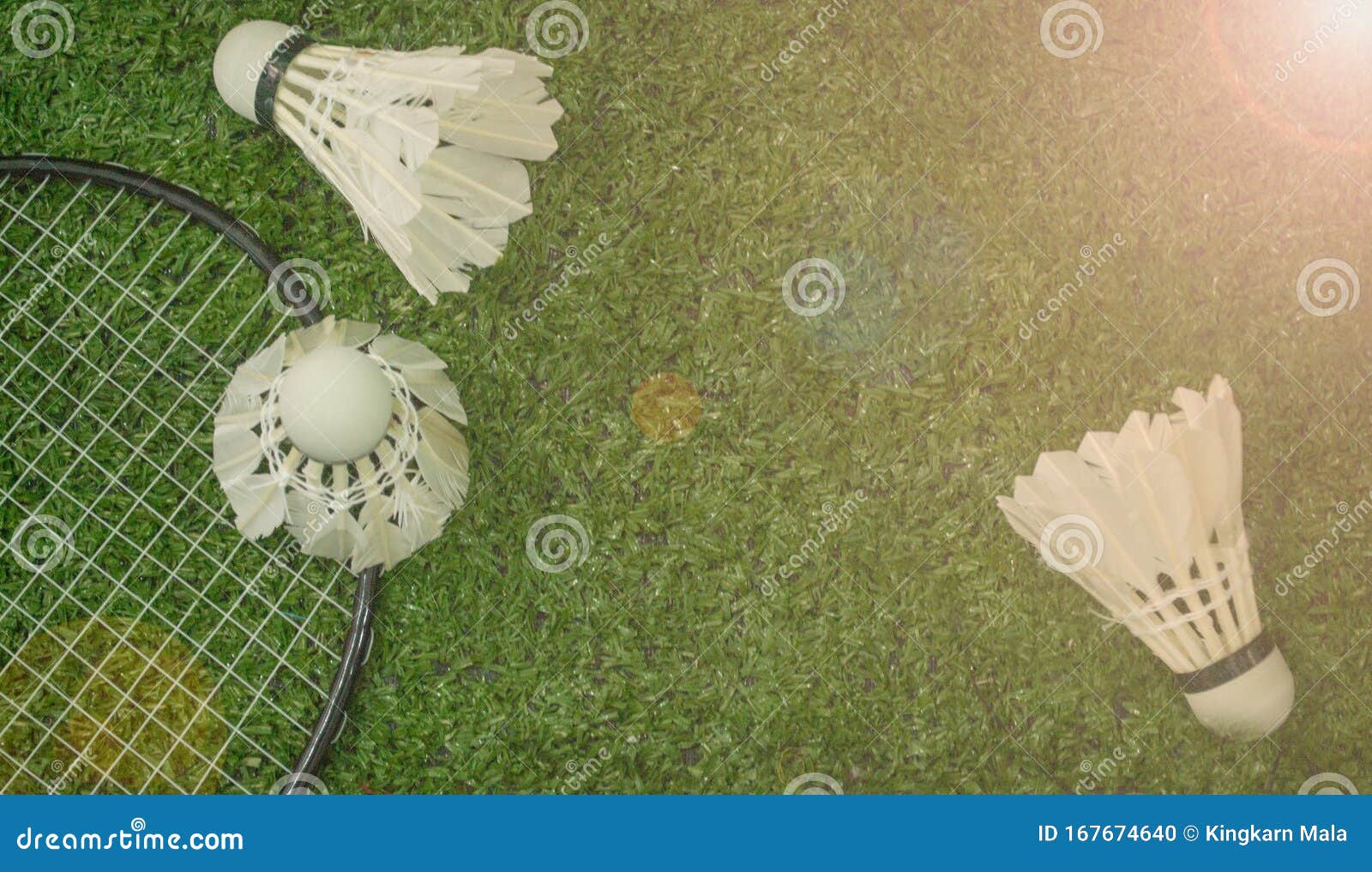 Badminton on the Green Grass Stock Photo Image of championship