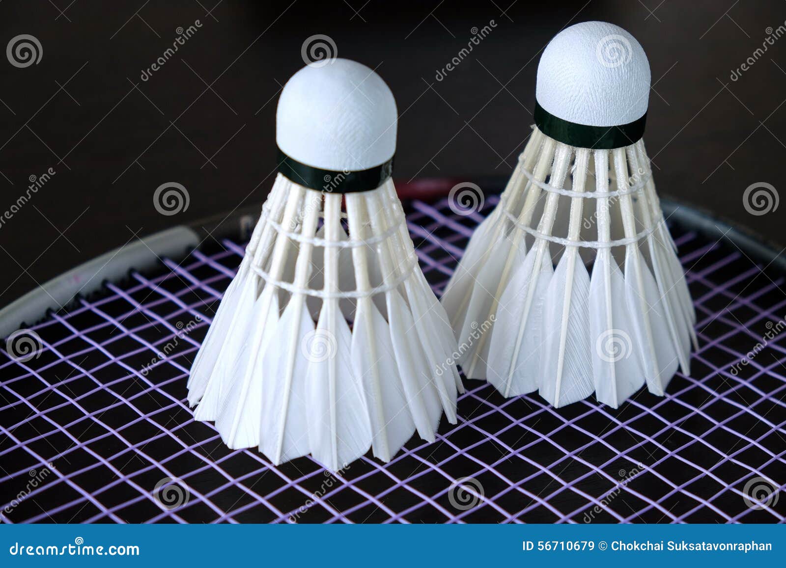 Badminton Shuttle. stock image. Image of black, competition 56710679