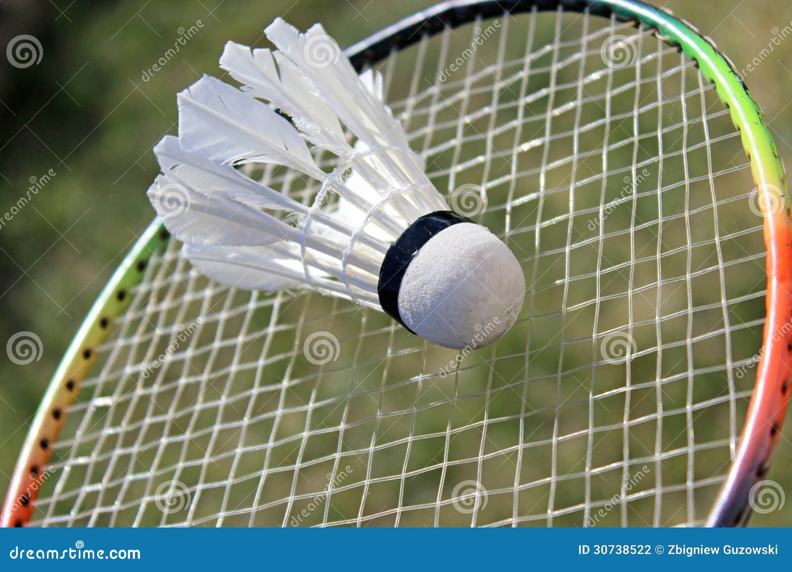 Badminton Shuttlecocks on Racket Stock Photo Image of badminton