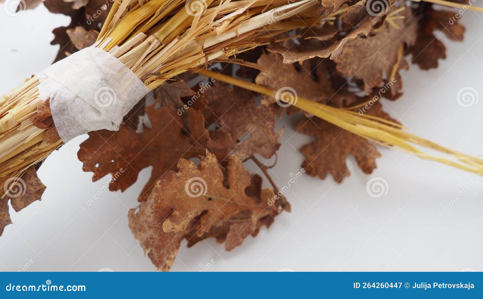 the badnjak veseljak is a tree branch or entire tree that is central to serbian christmas celebrations. it is placed on