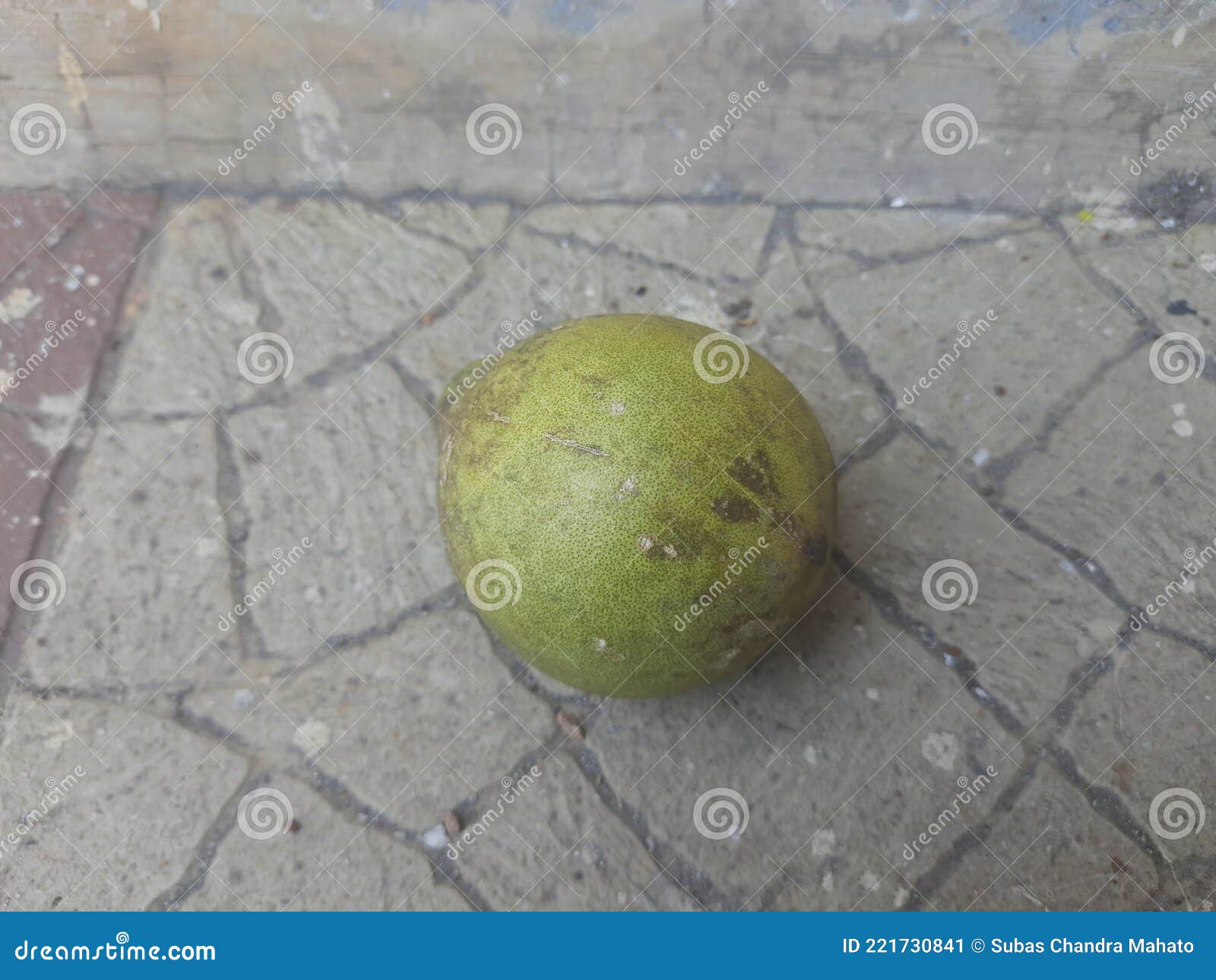 Ripe bael fruit. stock image. Image of nature, elephant - 221730841