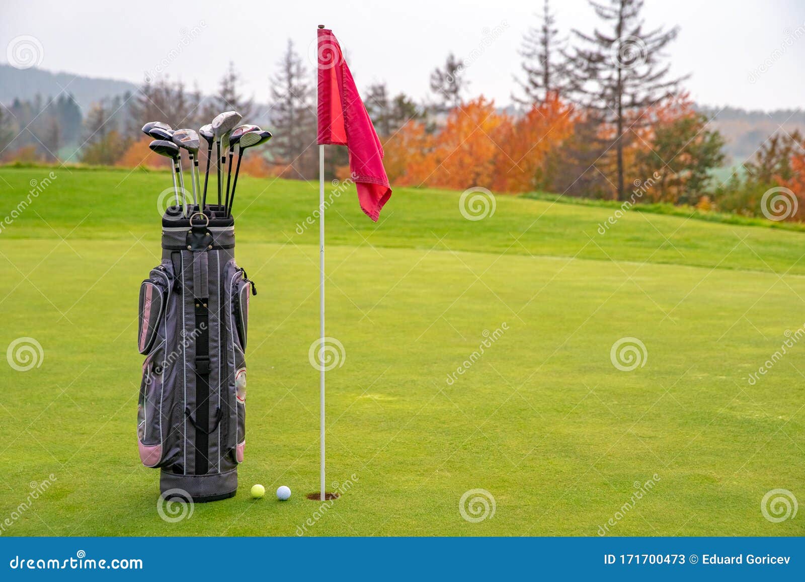 Bag with Golf Clubs on Green Stock Image Image of natural, detail