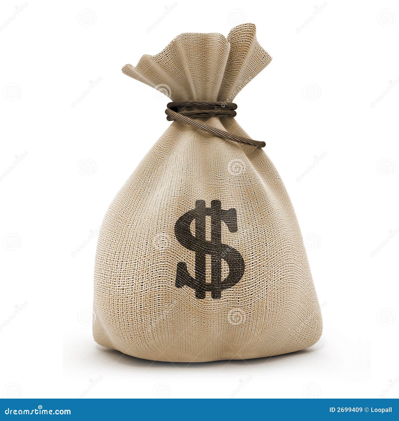 Bag with money dollars stock image. Image of model, stamp - 2699409