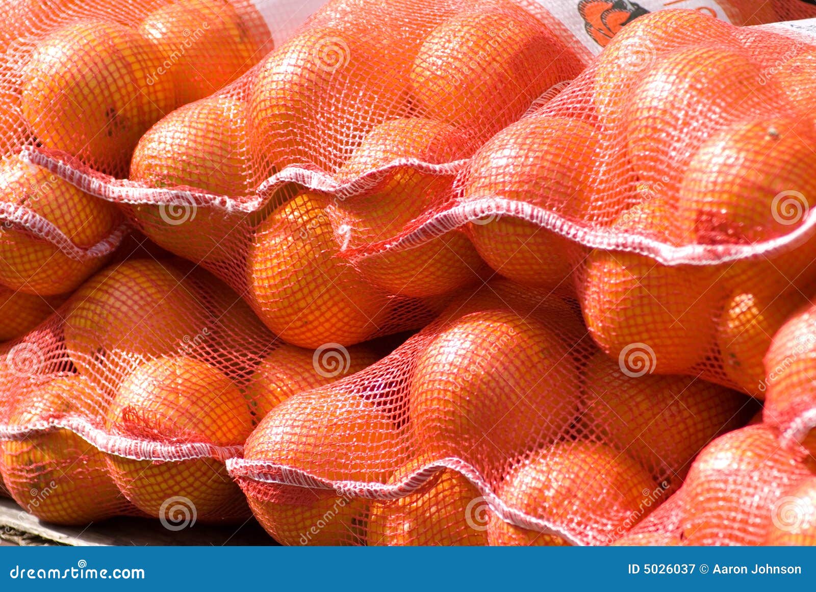 Bag of Oranges stock image. Image of circles, detail, nutritious - 5026037