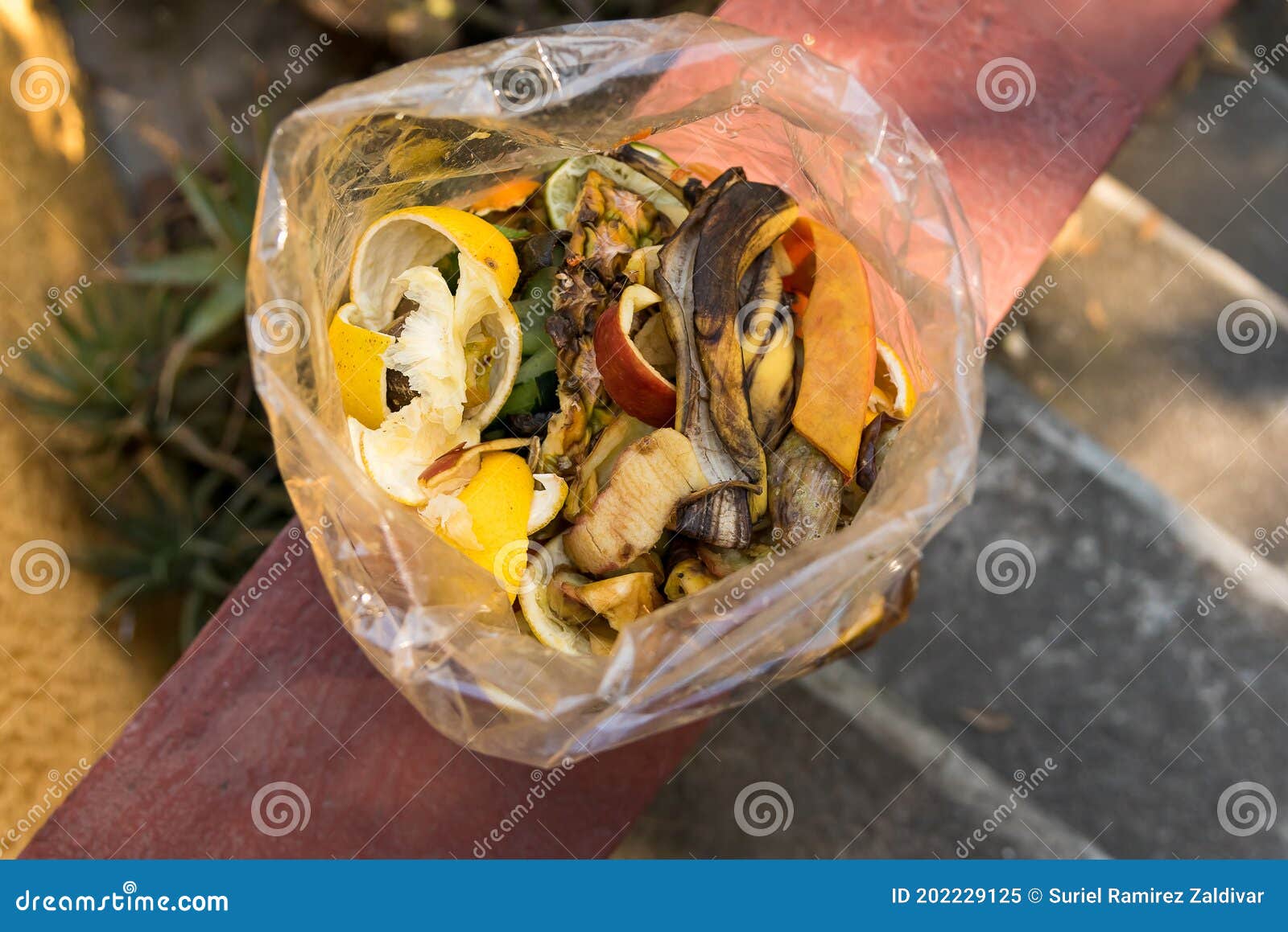 Bag with Organic Waste Compost Stock Image Image of farming, 202229125