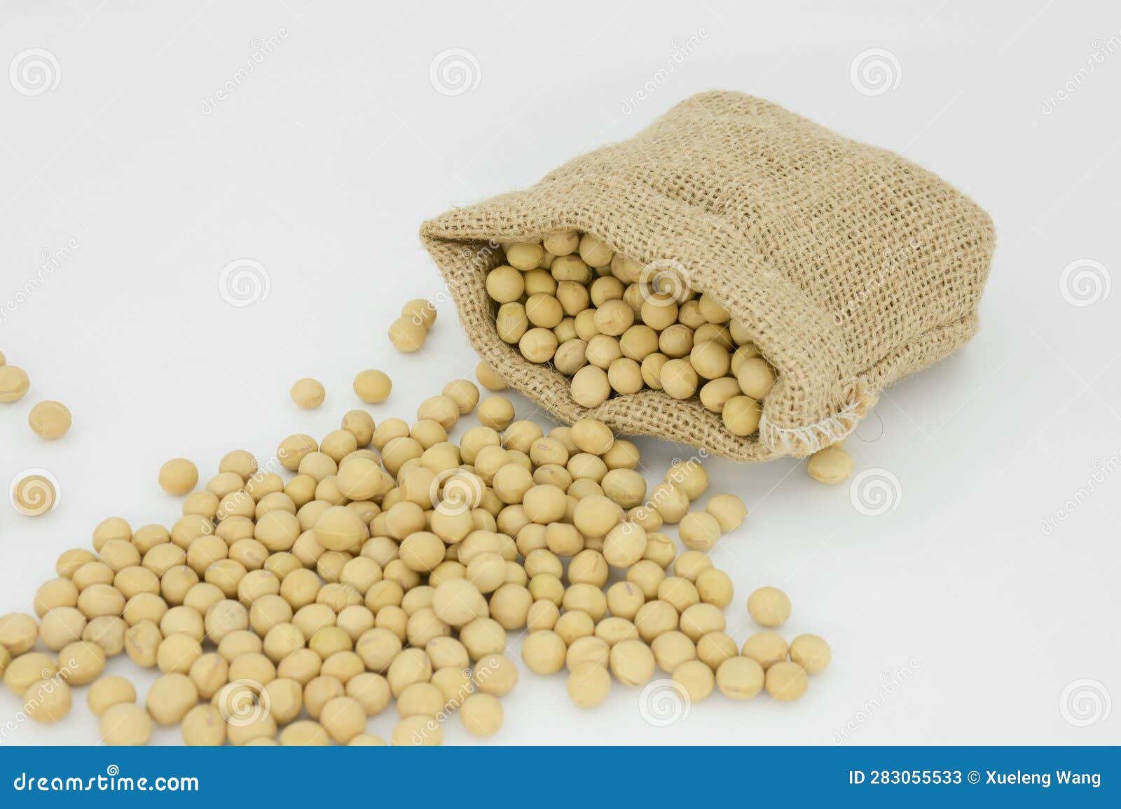 A Bag of Soybeans with White Background Stock Image Image of dish, flower 283055533