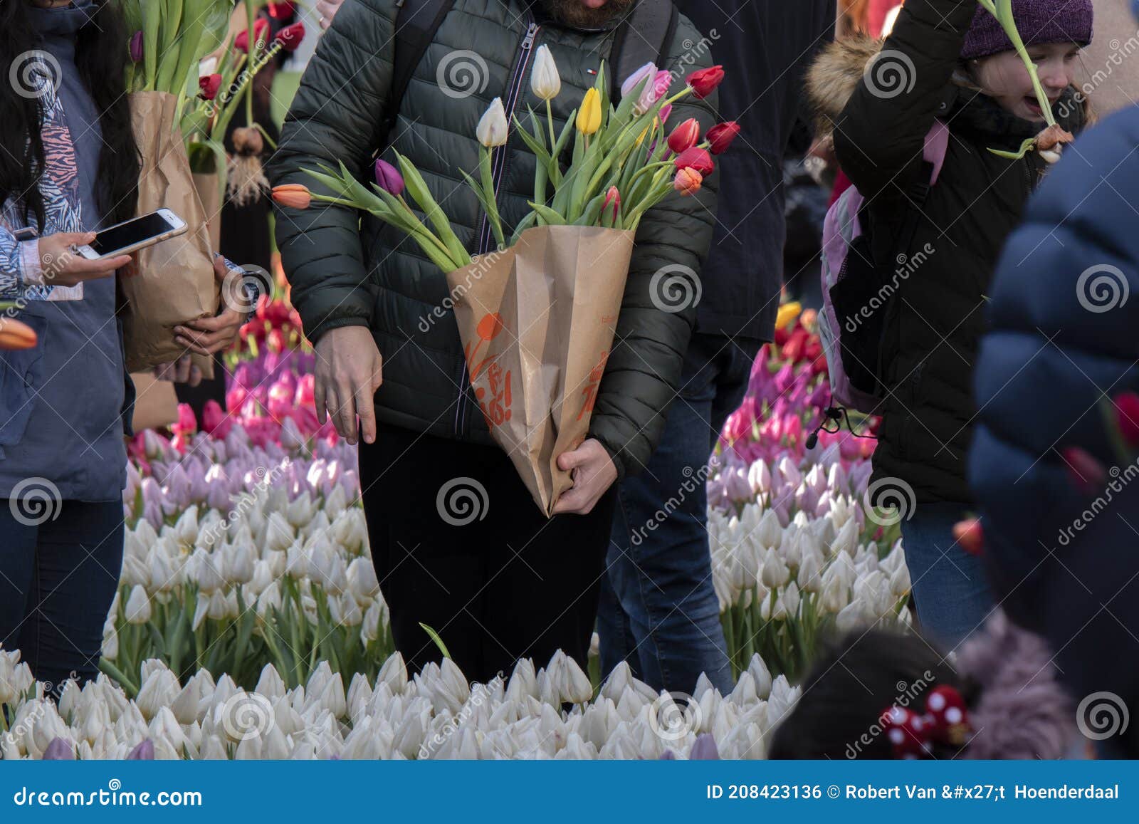 Bag with Tulips on Tulips Day at Amsterdam the Netherlands 1812020