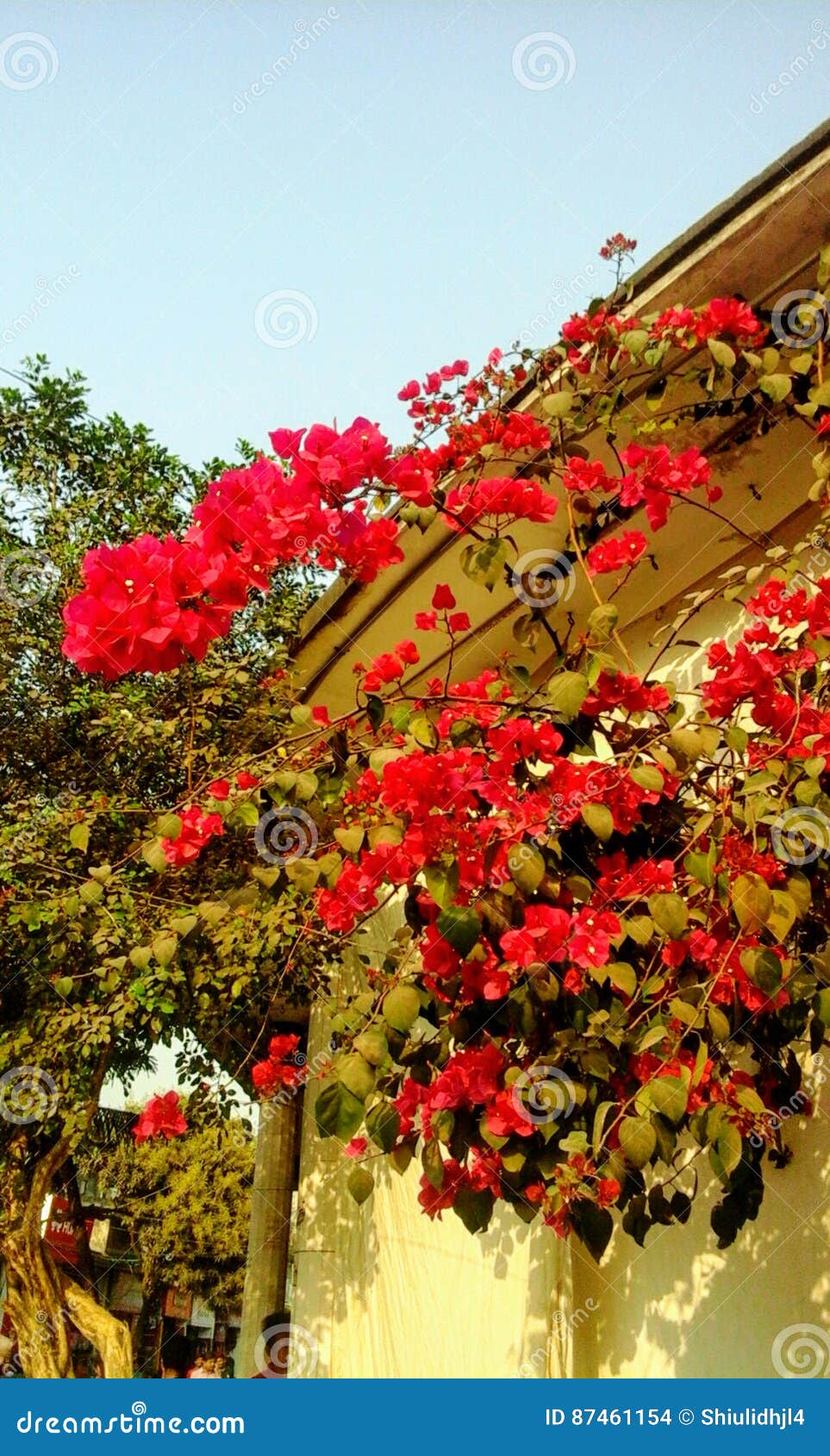 Bagan Bilash stock photo. Image of bagan, balcony, bangla - 87461154