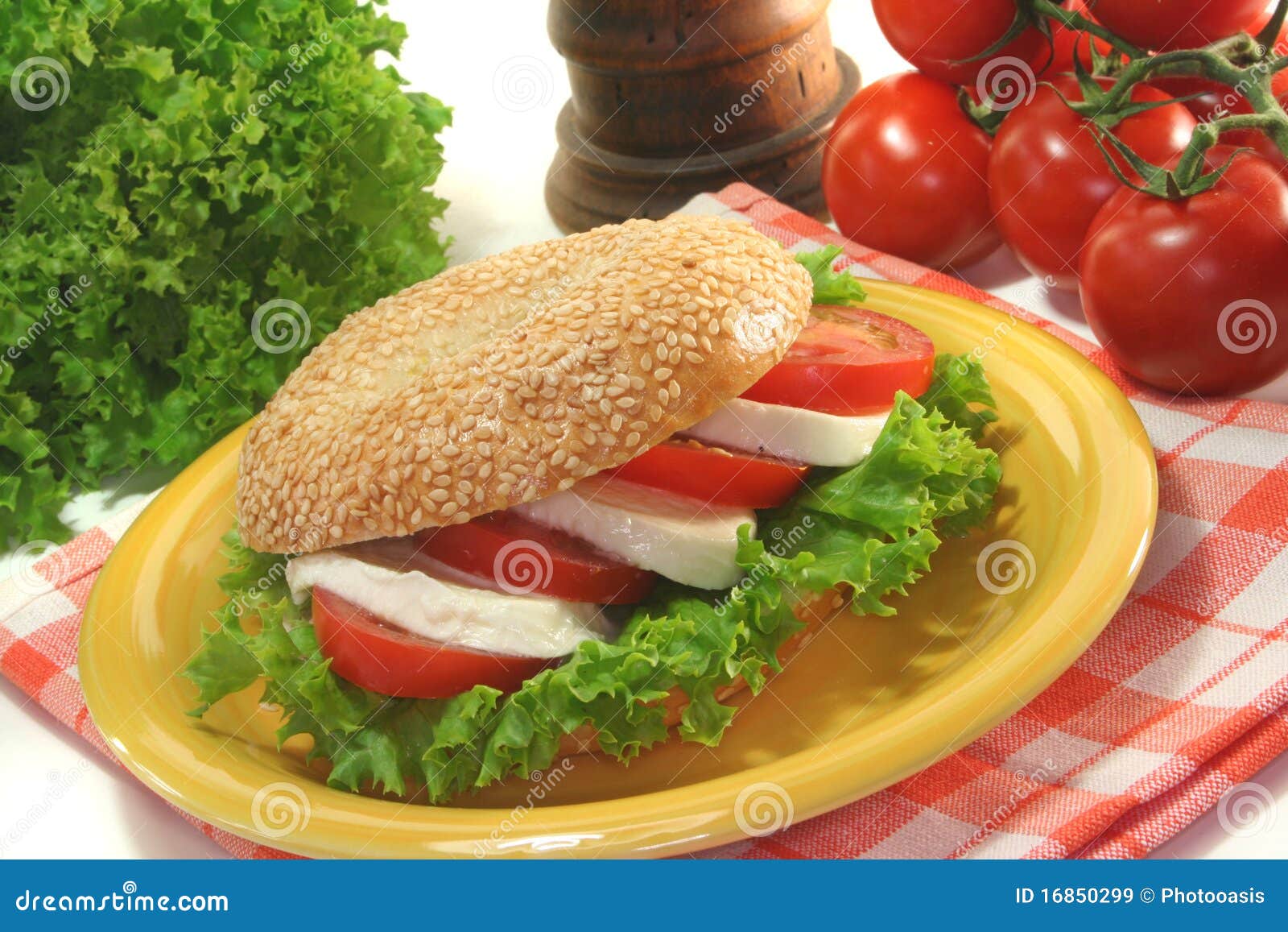 Bagel with Tomatoes and Mozzarella Stock Image - Image of salad, bagel ... Bagel with Tomatoes and Mozzarella Stock Image - Image of salad, bagel ...