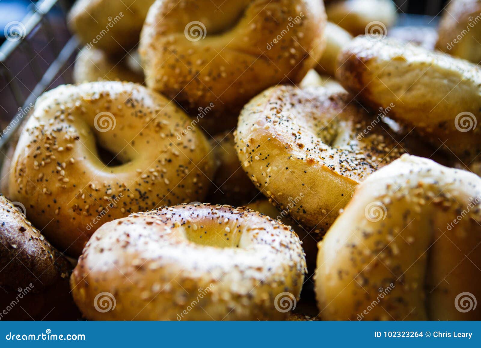 Bagels in cafe stock photo. Image of bread, bagels, fresh 102323264