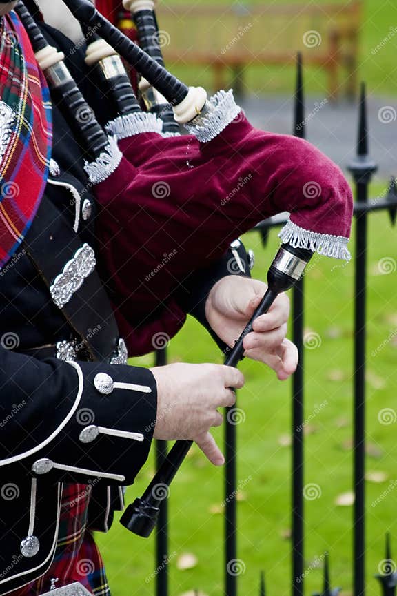 Bagpipes stock image. Image of musical, music, classic 3597389