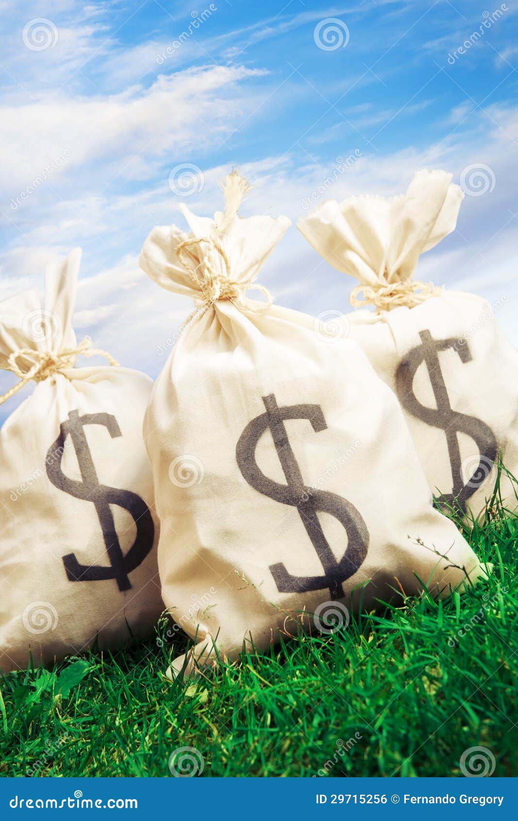 Bags Full of Money on Grass Stock Photo Image of cash, currency 29715256