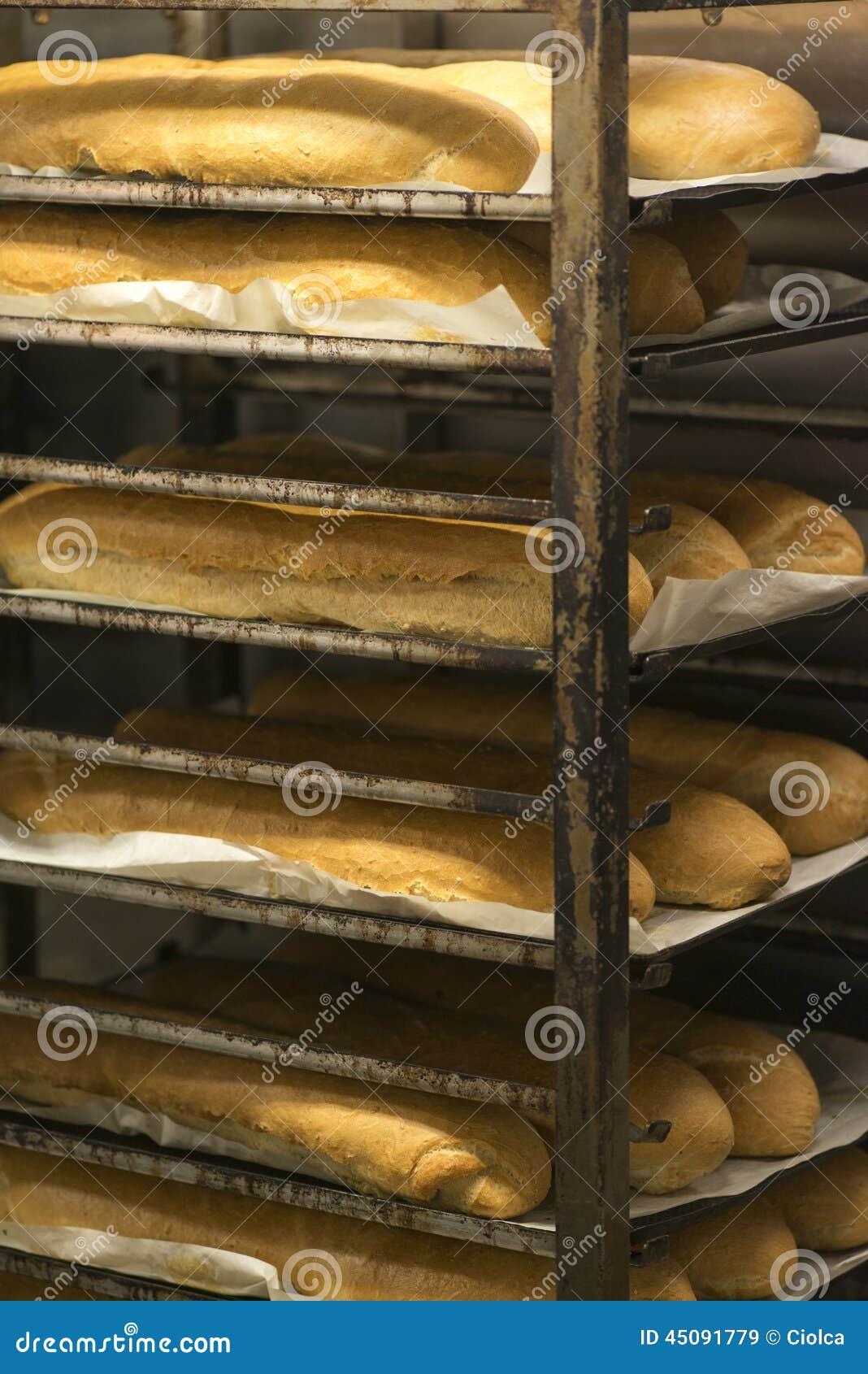 A rack of fresh baguettes in a bakery