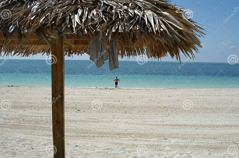 Bahamas beach stock photo. Image of island, freeport, repair 413176