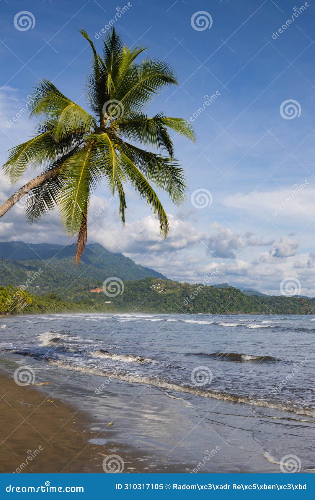 bahia ballena beach, popular beautiful beache at pacific coast