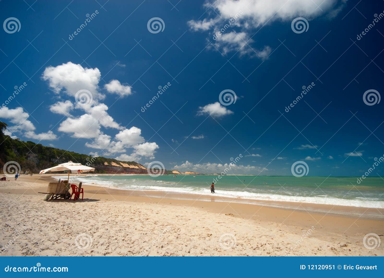 baia dos golfinhos near pipa brazil