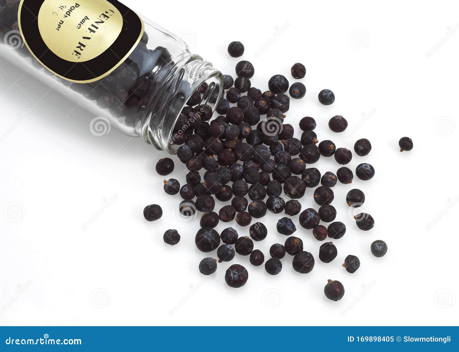 BAIES DE GENIEVRE stock image. Image of shot, studio 169898405