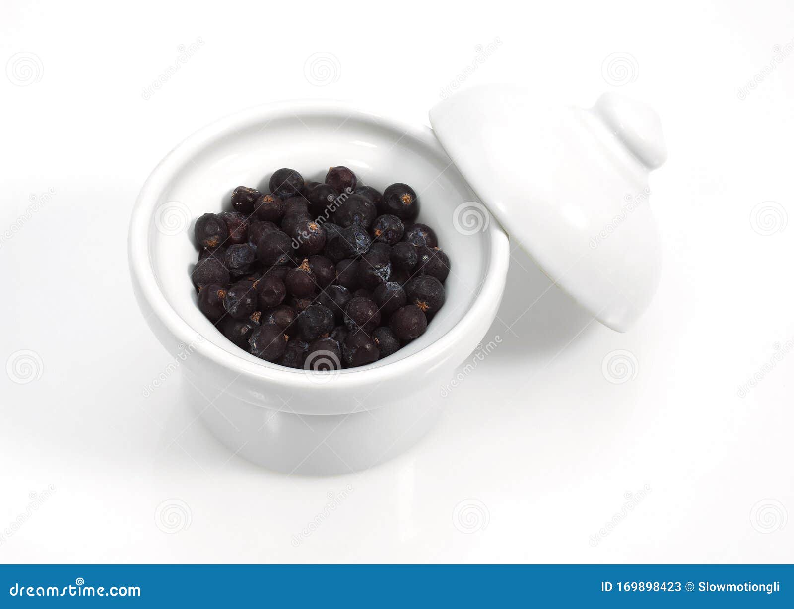 BAIES DE GENIEVRE stock image. Image of white, berry 169898423
