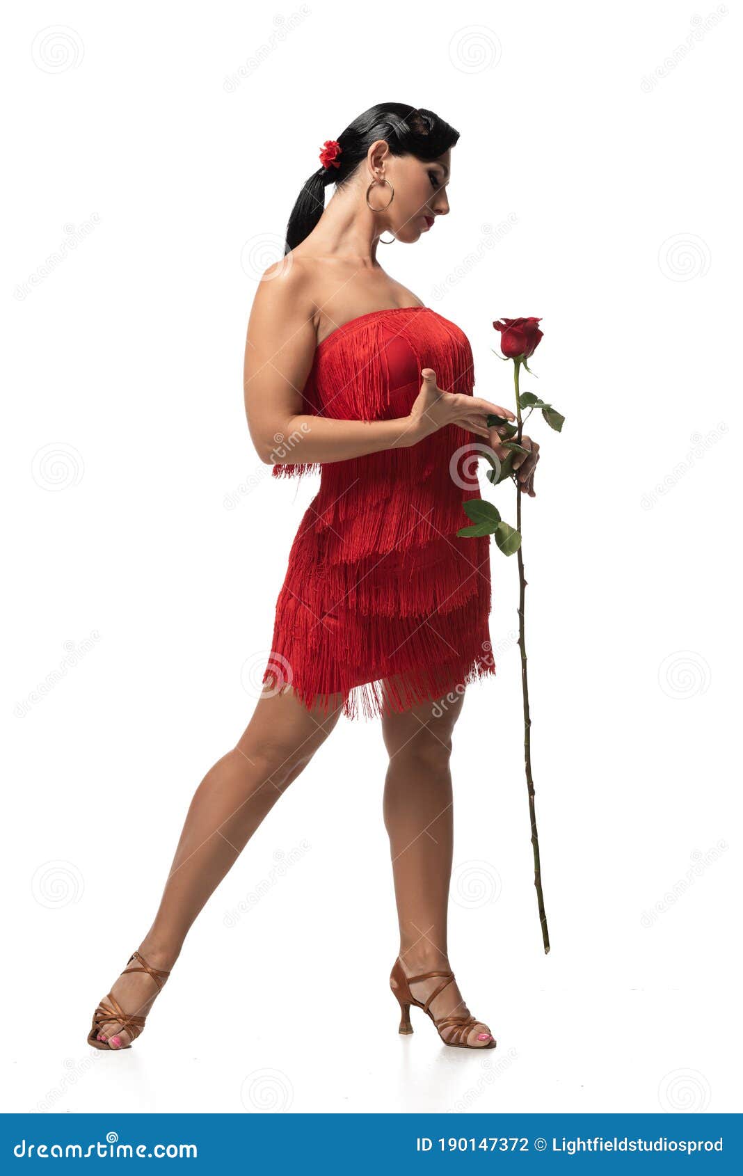 Bailarina De Tango Vestida Con Frentes Sosteniendo Rosa Rojo Sobre Fondo Blanco Foto de archivo - Imagen de atractivo, presente: 190147372