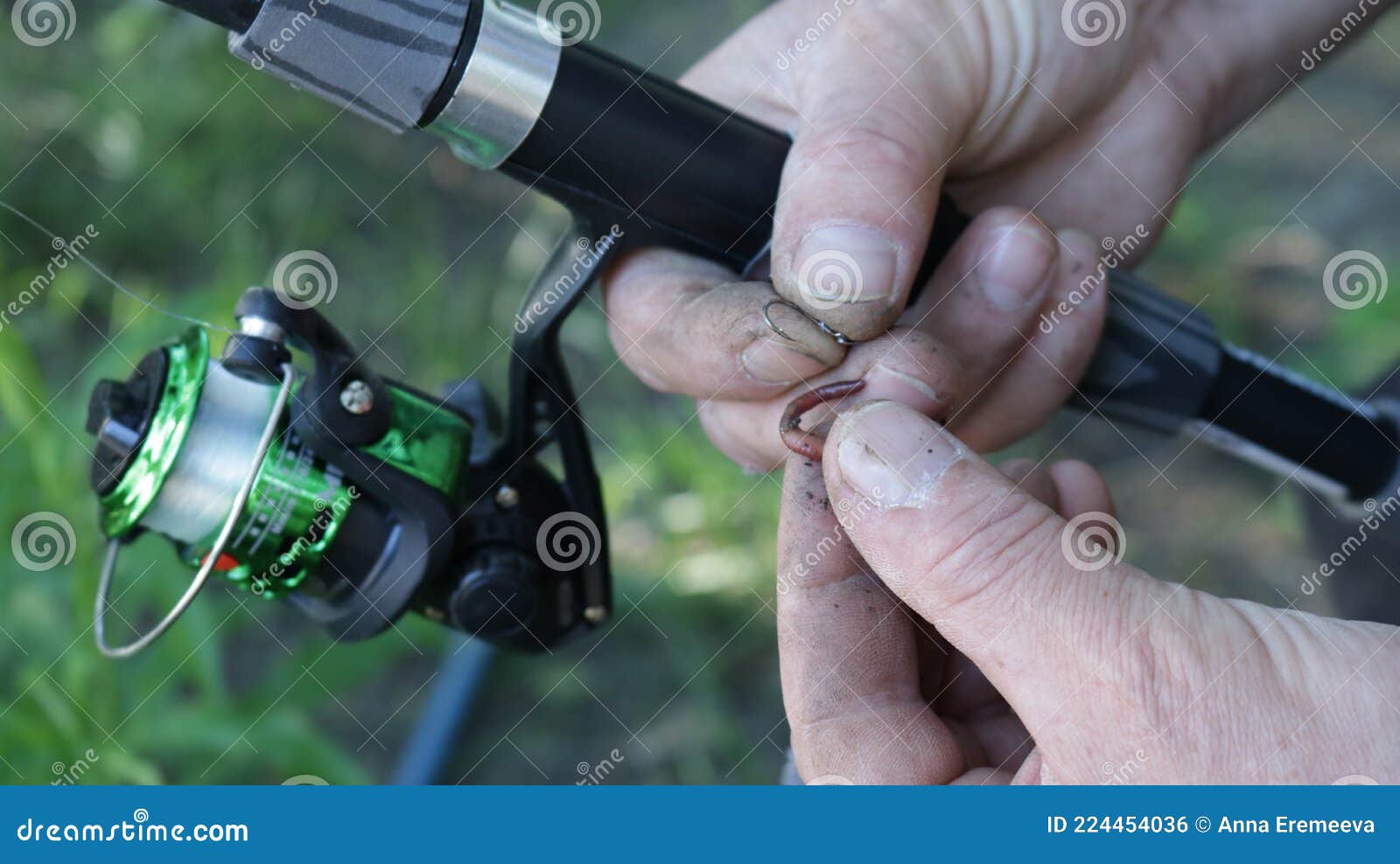 Baiting a Worm on a Fishing Rod Hook Stock Photo - Image of action,  baiting: 224454036
