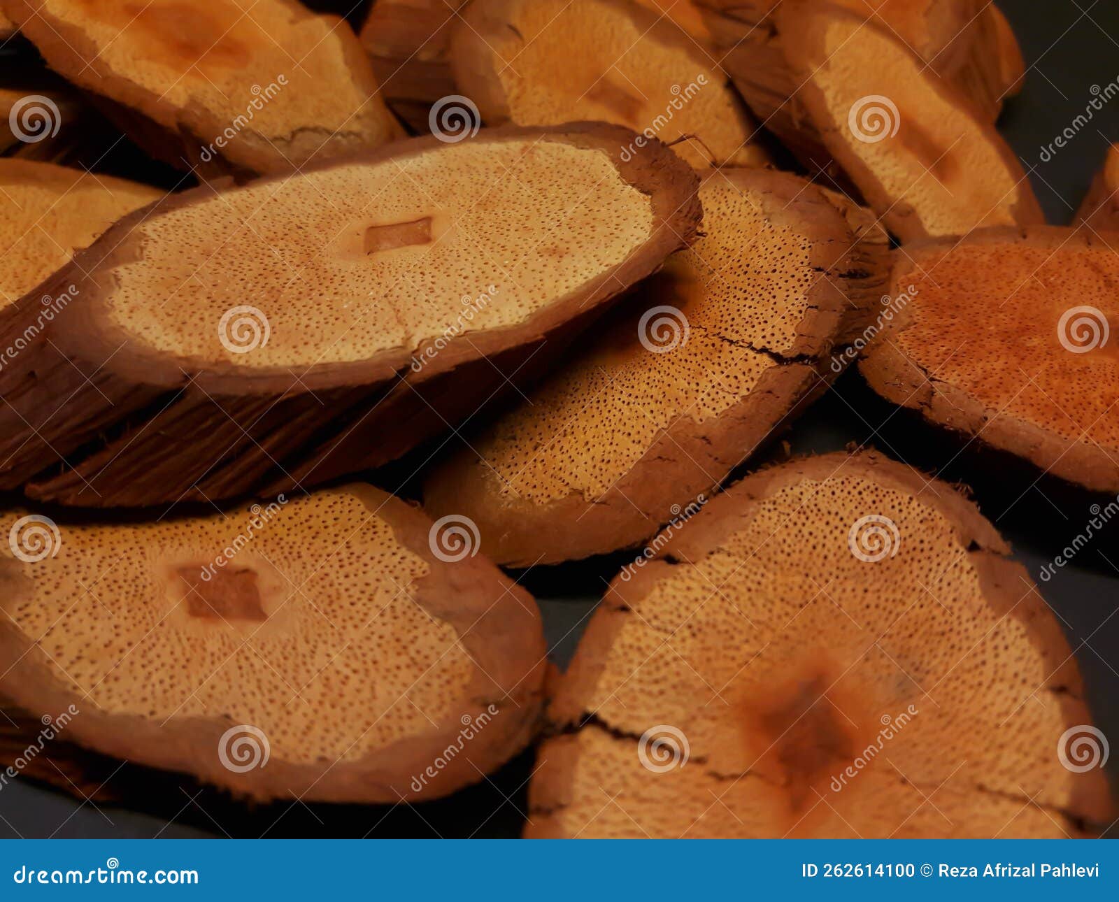 bajakah wood cut texture with black background