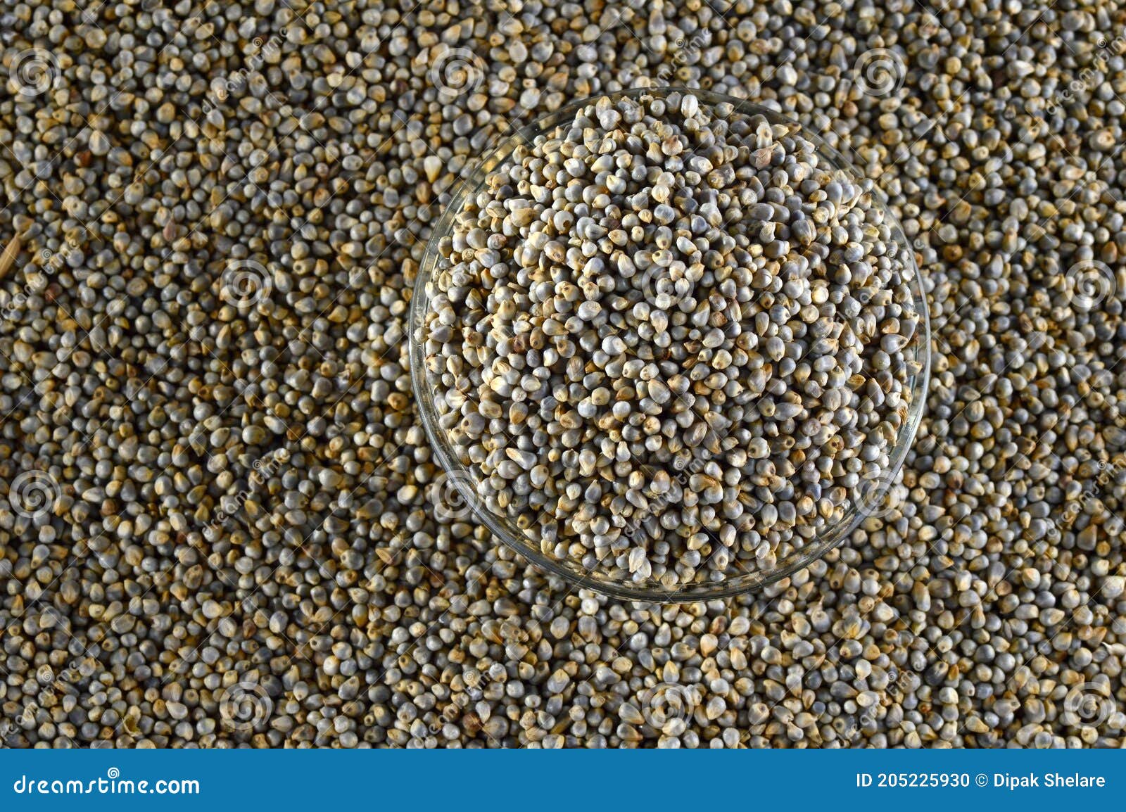 Bajra Pearl Millet in Glass Bowl Stock Photo Image of feed, delicious
