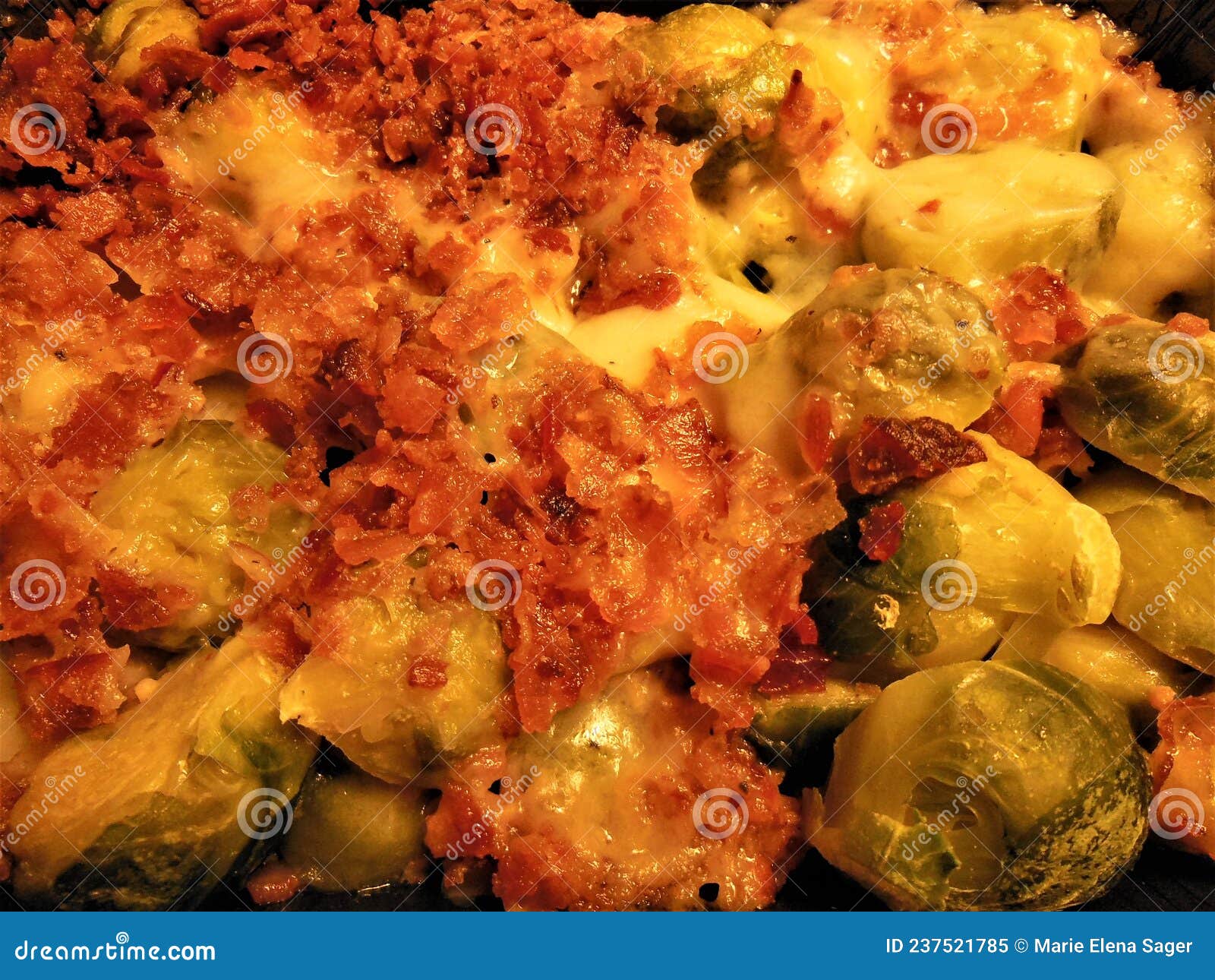 Baked Bacon Broccoli and Cheese Casserole Stock Image Image of food