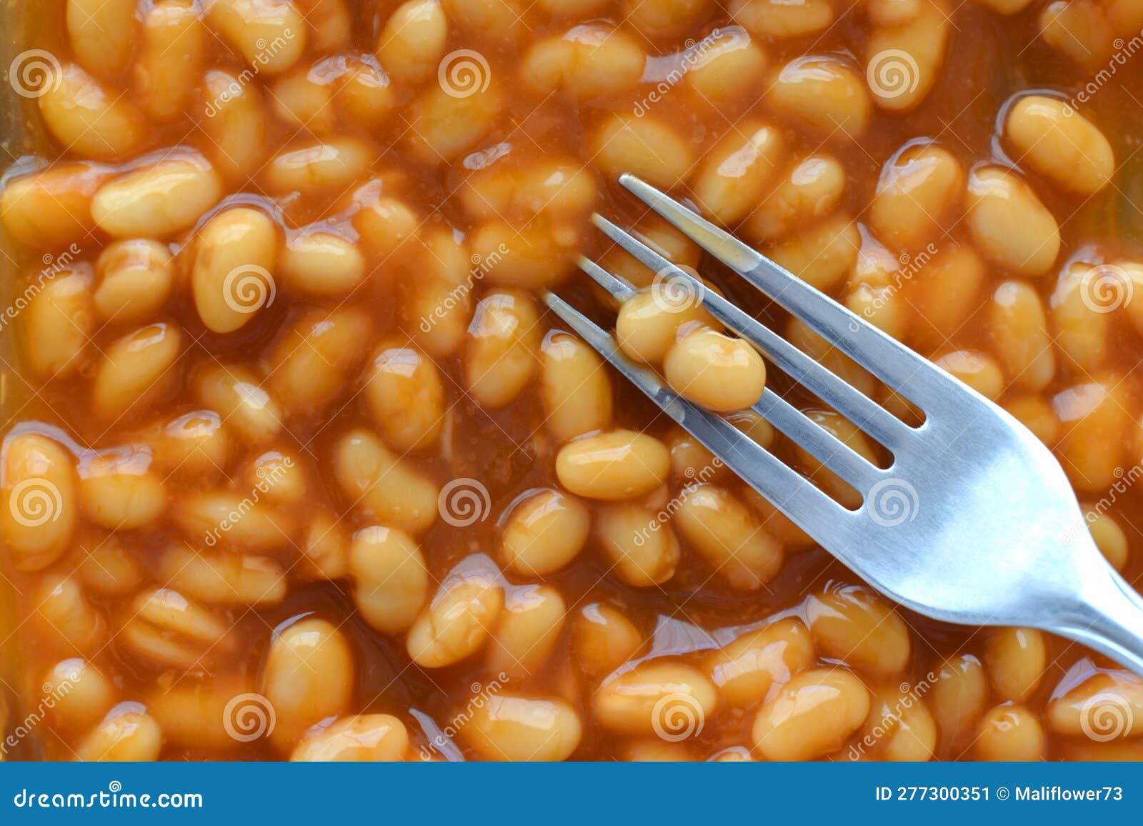 Baked Beans in Tomato Sauce. Stock Image Image of food, snack 277300351