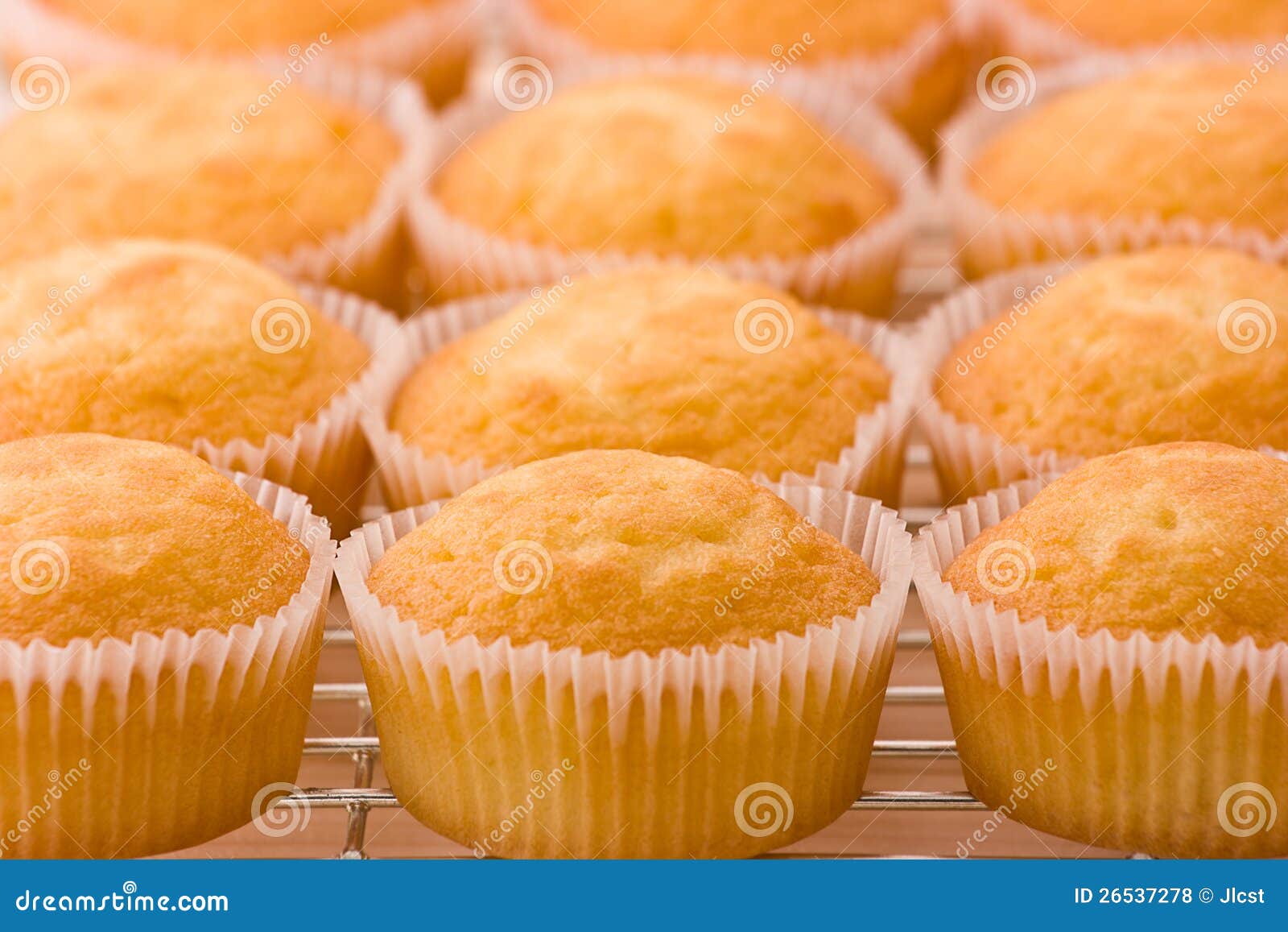 Baked Cupcakes on a Cooling Rack Stock Photo Image of field, objects