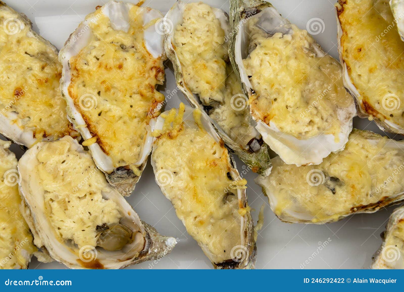Baked Oysters with Cheese in a Dish Stock Photo Image of dinner