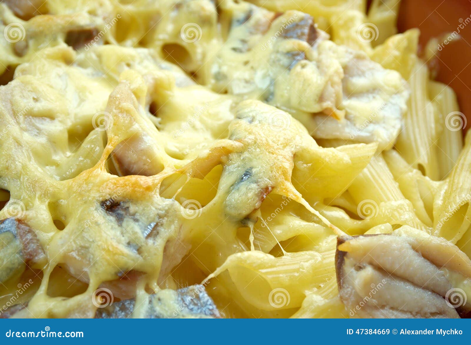 Baked Pasta Penne with Mackerel Stock Image Image of penne, pasta