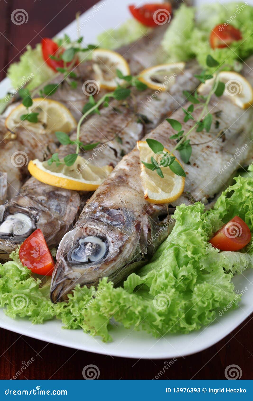 Baked trout and vegetables stock image. Image of savory 13976393