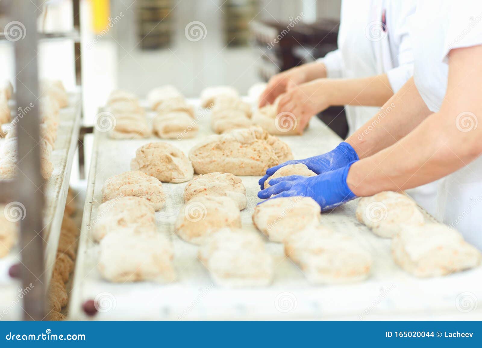 baker`s hands preparing the dough for baking bread .