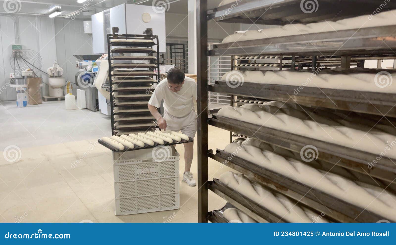 baker working in industrial bakery