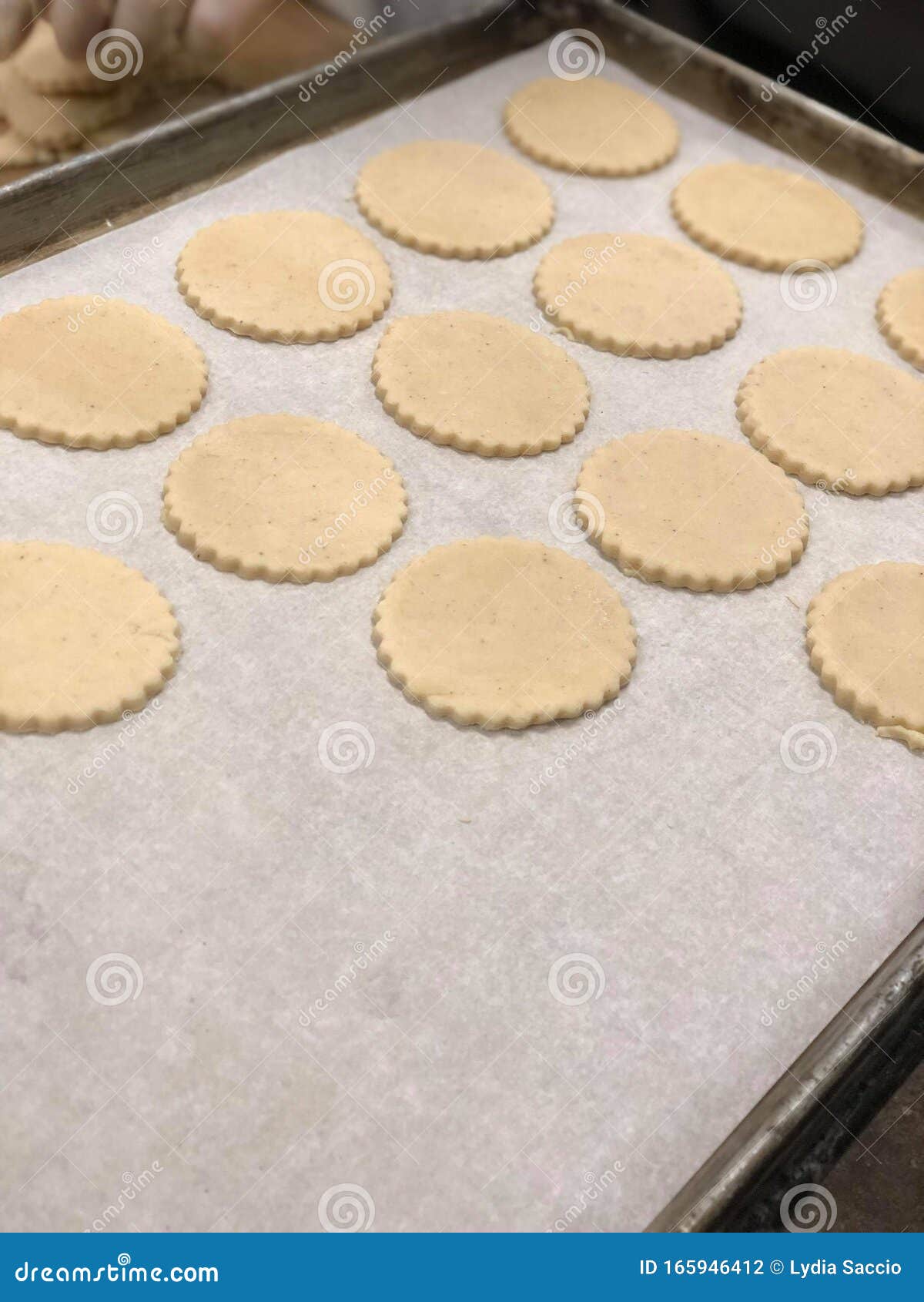 Bakery Sheet Pan of Raw Sugar Cookie Cookie Dough Stock Photo Image