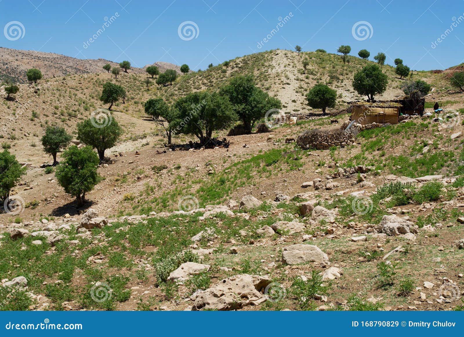 Bakhtiari Nomad Camp in the Mountains Near Yasuj, Iran. Editorial Stock