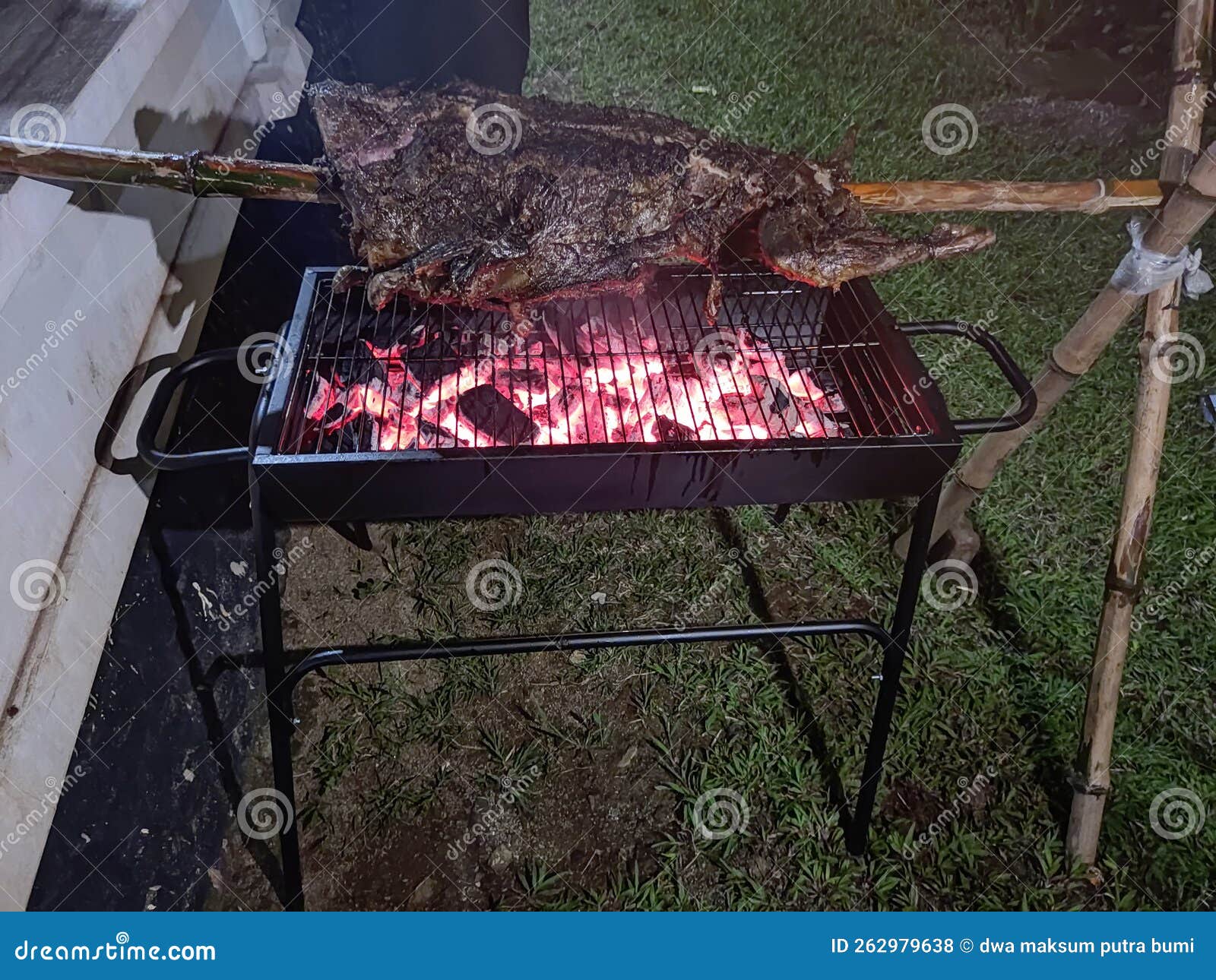 Baking Lamb with Traditional Seasoning Stock Photo Image of campfire