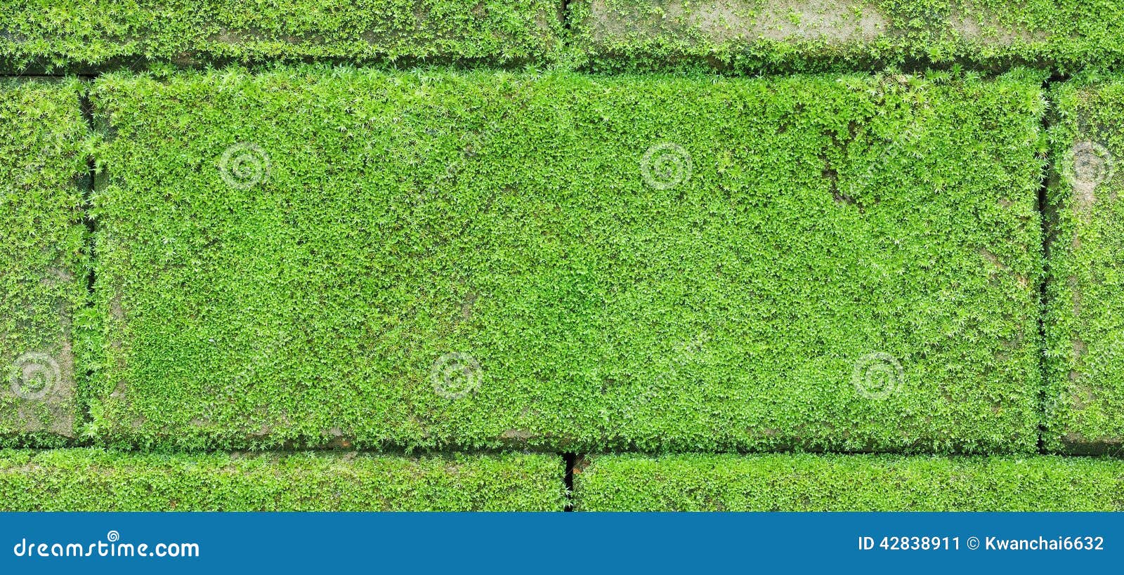 Uitgelezene Bakstenen Muur Met Groen Mos Stock Afbeelding - Afbeelding RU-71