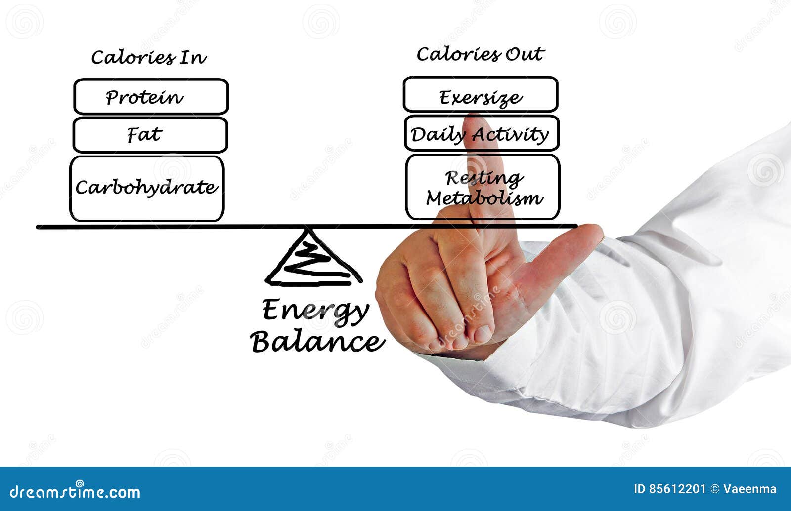 balance between energy intake expenditure